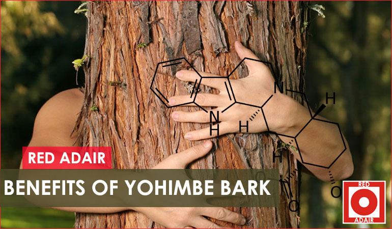 Yohimbe Benefits Top 7 Uses And Effects Of Yohimbe Bark 