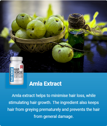 Amla Extract